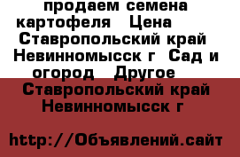 продаем семена картофеля › Цена ­ 20 - Ставропольский край, Невинномысск г. Сад и огород » Другое   . Ставропольский край,Невинномысск г.